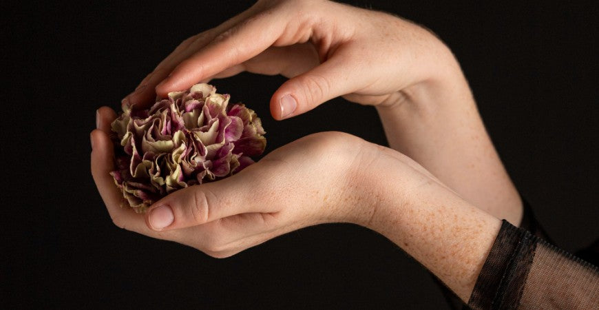 Manos rodeando una flor de pétalos rosadassobre un fondo oscuro