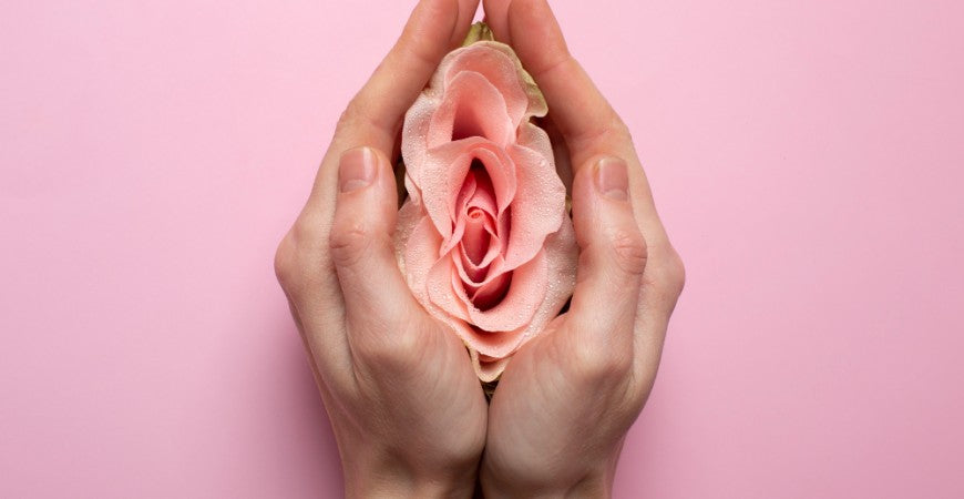 Manos rodeando una rosa de color rosa sobre un fondo rosado